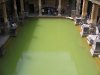 Another View of the Great Bath