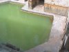 Sacred Spring