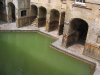 Spring and Structure