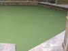 Water of the Sacred Spring