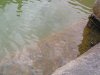 Magic Water