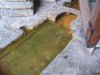 Water from the Hot Springs