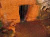 Mineral Content