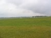 Salisbury Plain