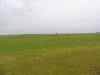 Rainy Day Salisbury Plain