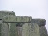 Bird on the Henge