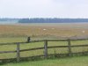 Bucolic and Beautiful