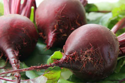 Beets_Small
